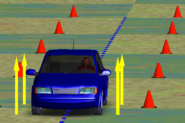 Fig. 10. Simulación en software CarSim.