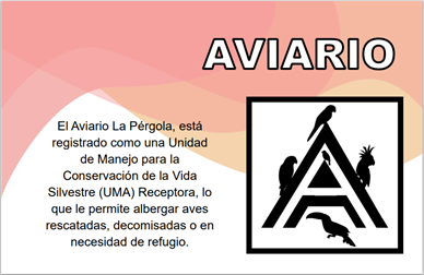 Figura 5. Introducción al Aviario.