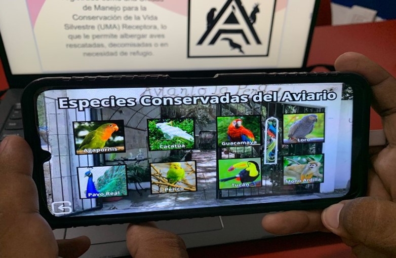 Figura 7.  Interfaz de Especies conservadas del aviario, orientado a la consulta de la fauna protegida