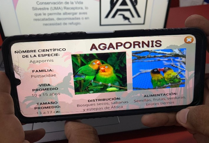 Figura 8. Interfaz de una especie.
