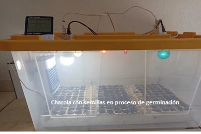 Figura 4. Siembra en cámara