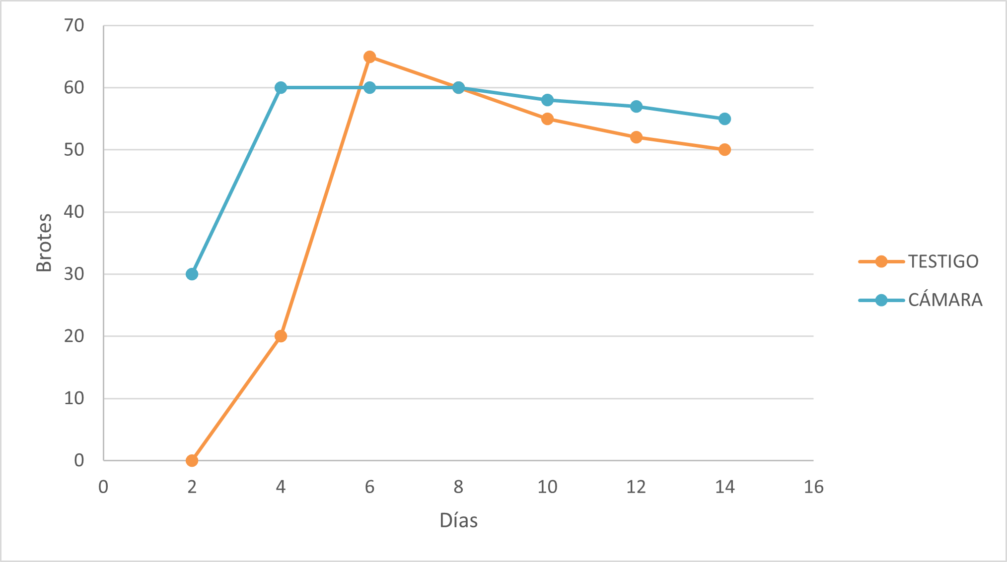 Figura 5. Tasa de supervivencia de los brotes