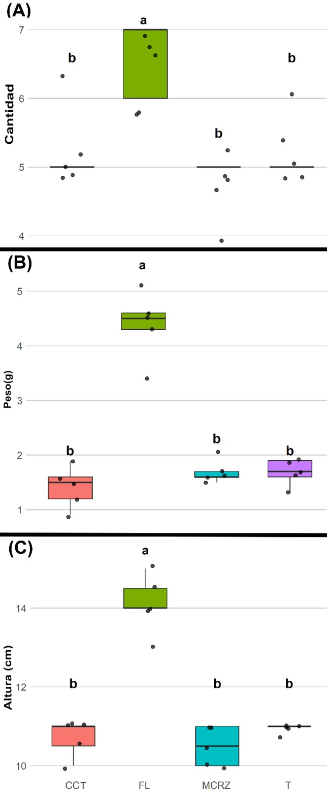 Figura 2. Evaluación de número de hojas (Hojas) (A), peso de hojas más raíz(H+R) y altura de la planta (cm) de los diferentes tratamientos